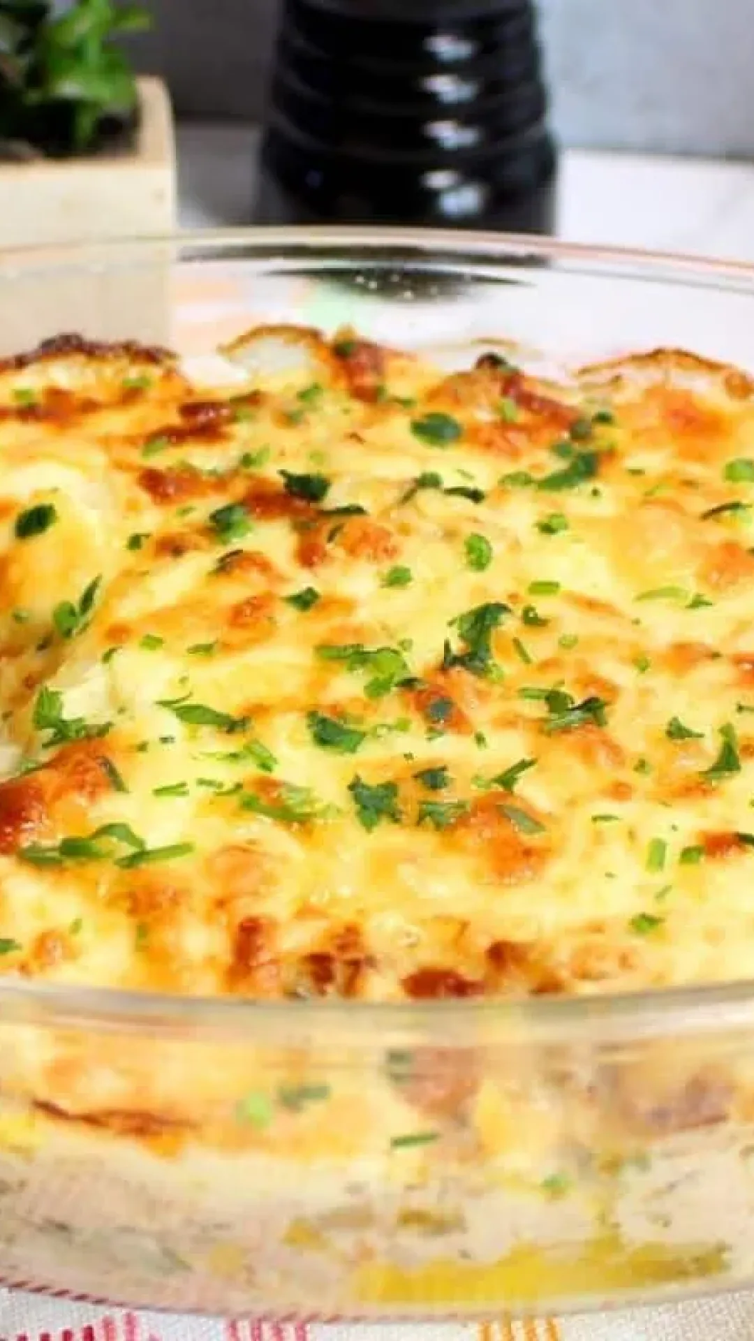 Atum gratinado com batata, econômico e delicioso, perfeito para um jantar bem gostoso