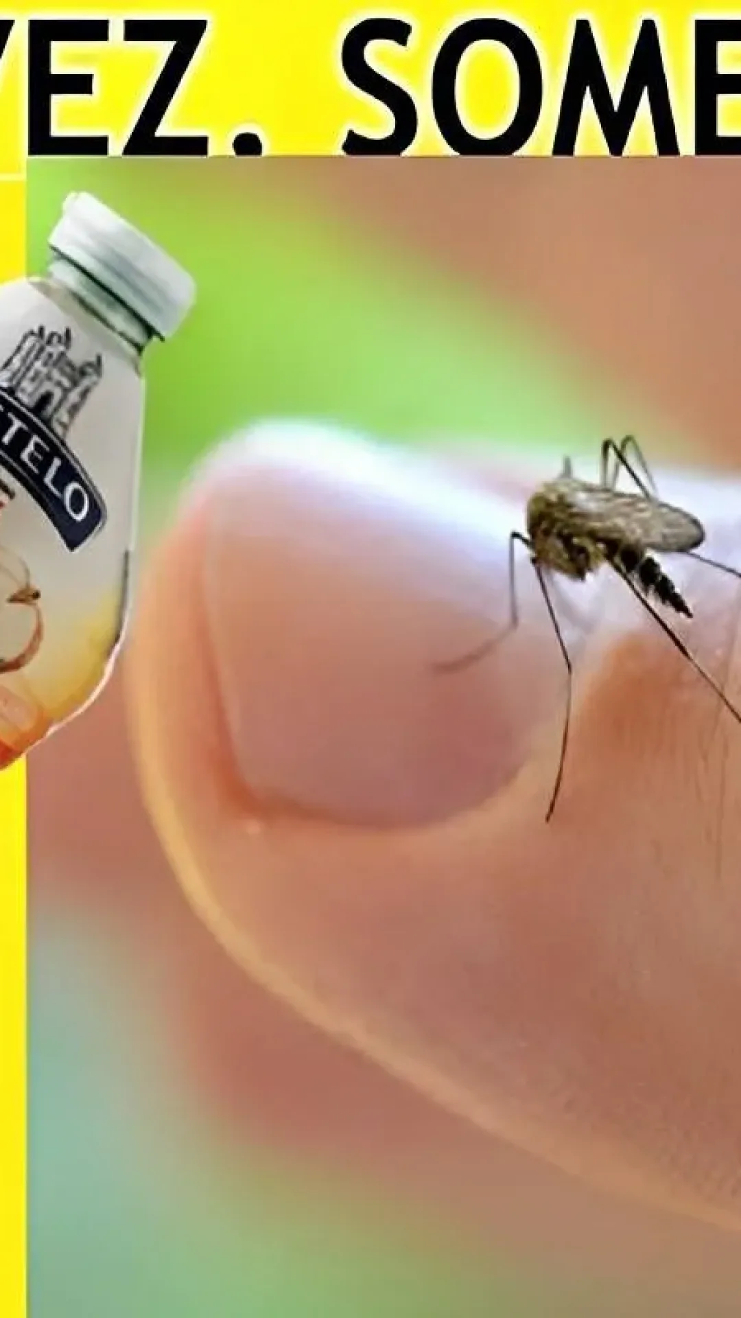 Dica caseira para acabar com pernilongos pra sempre utilizando produtos do seu armário