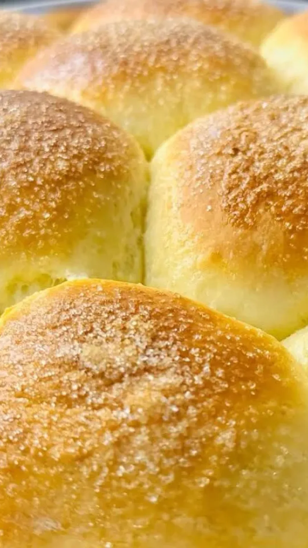 Pãozinho de leite delicioso, que cresce num passe de mágica e fica com a massa super fofinha