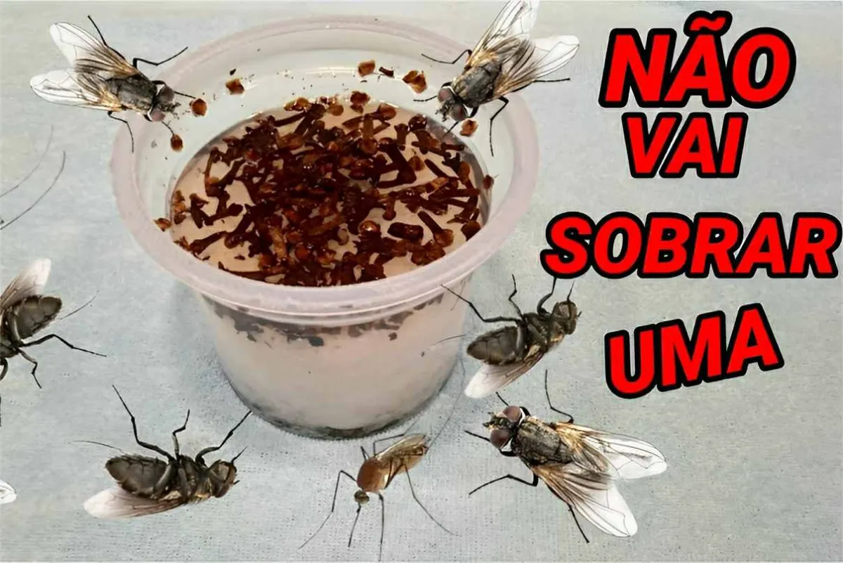 Acabei com as moscas mosquitos e pernilongos de casa com ess