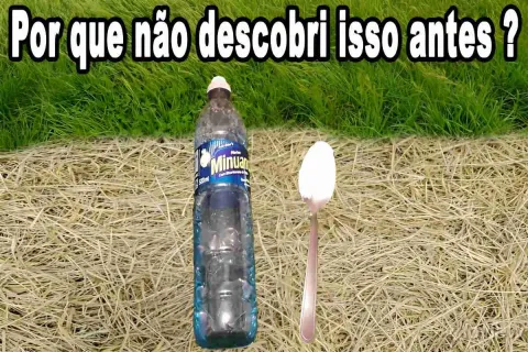 Acabei com todas as ervas daninhas da minha casa com esse ma