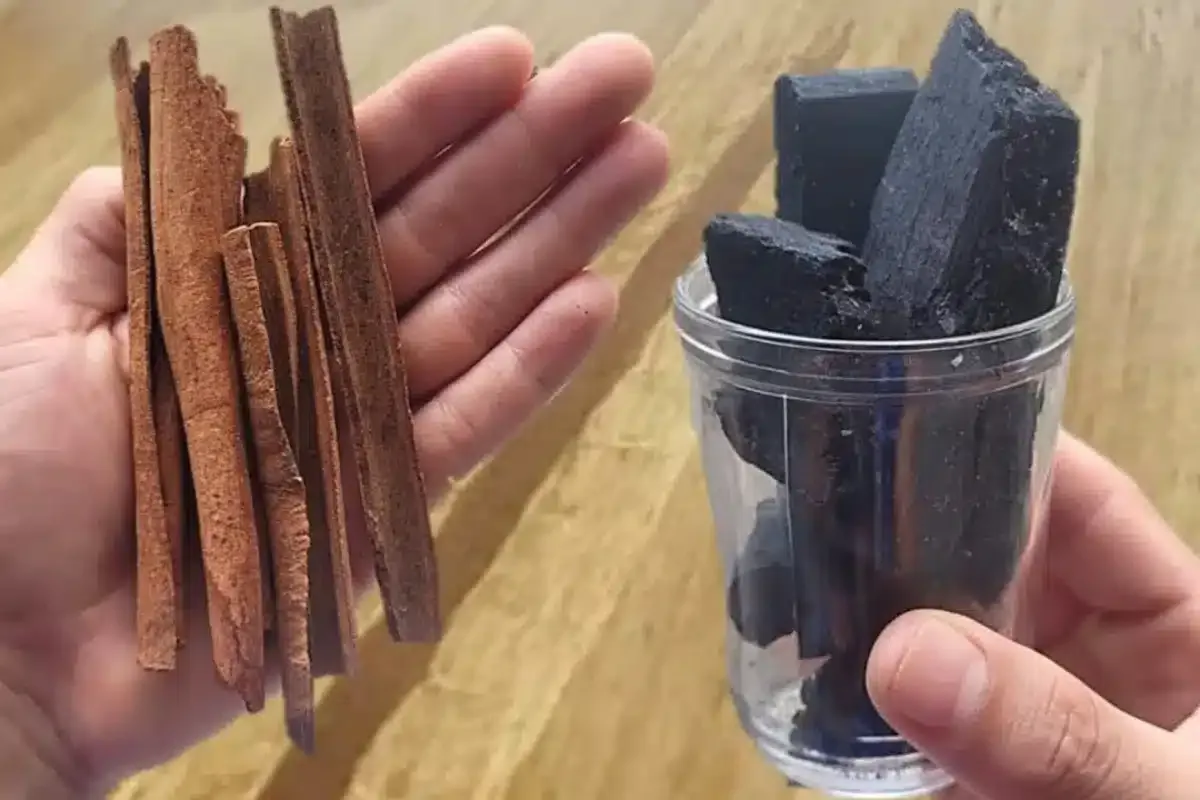 Adubação caseira para plantas: essa solução de liquidificado