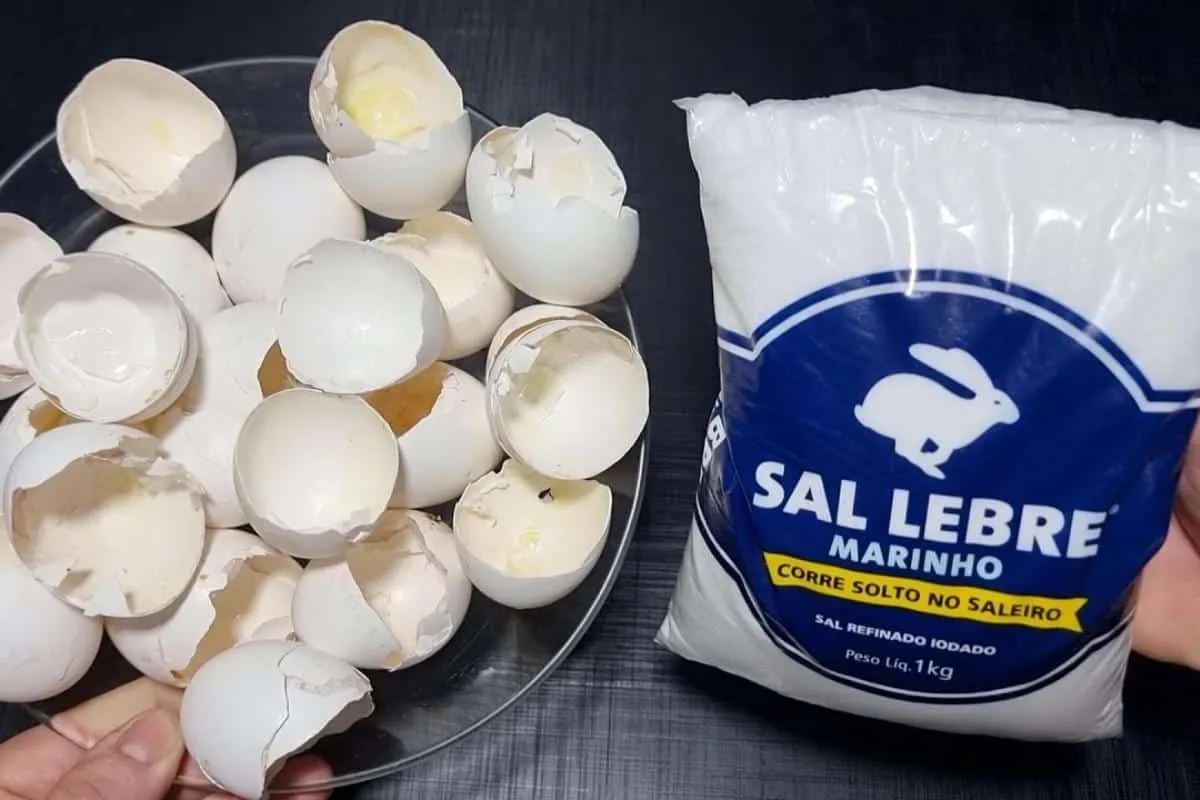 Aprendi a fazer um detergente caseiro que espuma muito e me