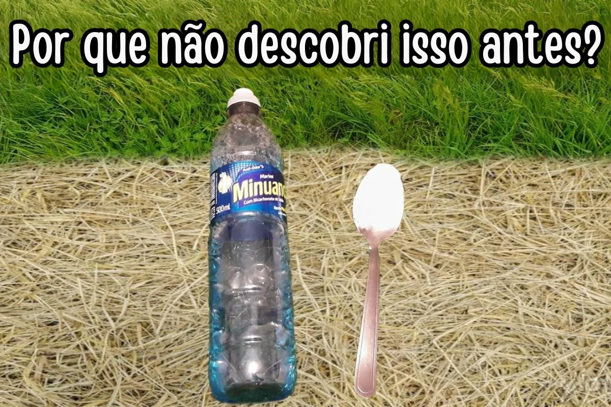 Aprendi a fazer um mata mato caseiro simples e barato que fu