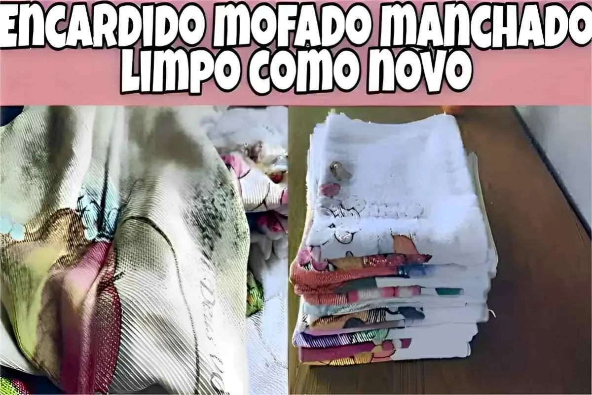Aprendi como tirar manchas de panos de prato usando 3 ingred