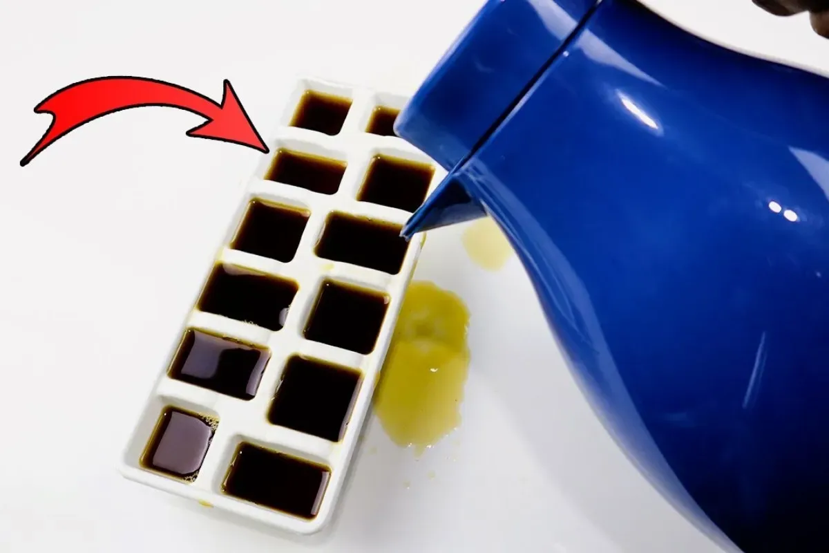 Até hoje não encontrei adubo caseiro para plantas melhor do