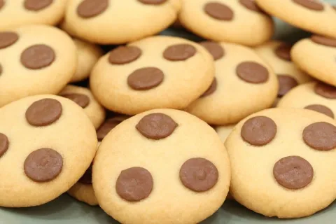 Biscoitinho caseiro com poucos ingredientes, derrete na boca