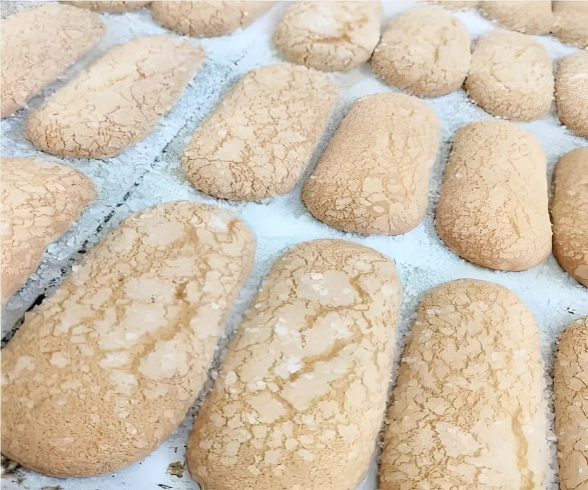 Biscoito champagne caseiro fácil de fazer e muito mais econô
