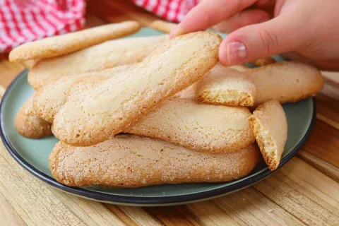 Biscoito champanhe caseiro que você vai adorar fazer e exper