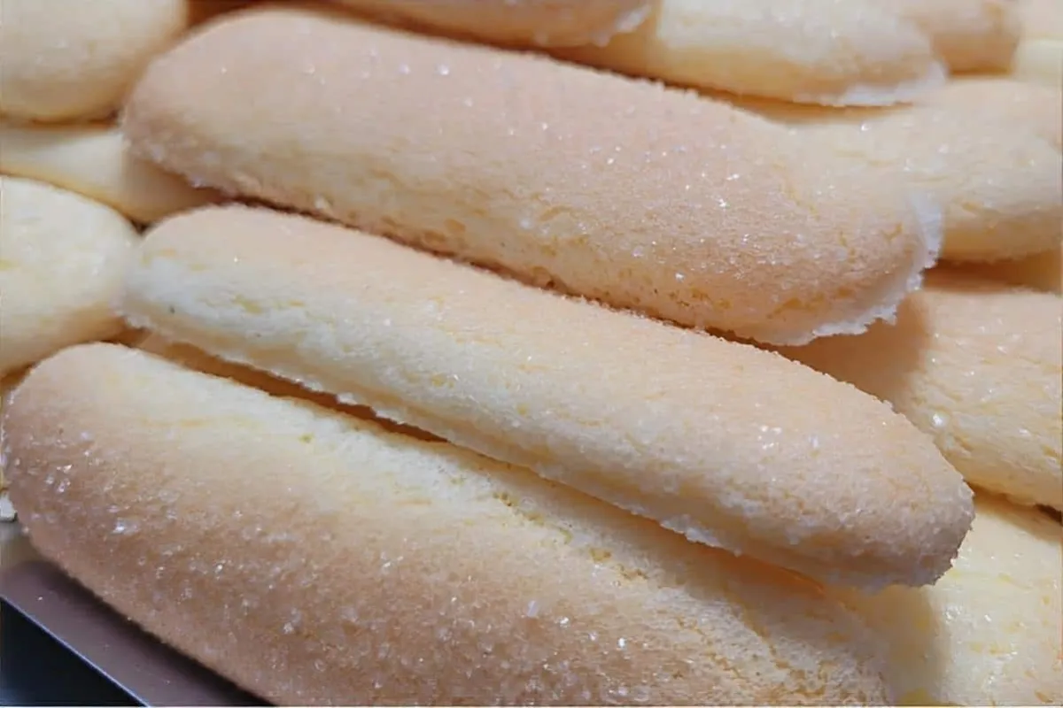 Bolacha champagne caseira para usar nas suas receitas de pav