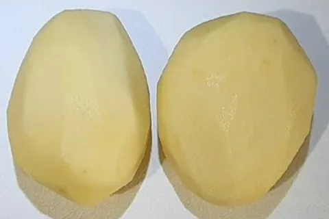 Bolinho de batata que fica delicioso com apenas 2 batatas: b