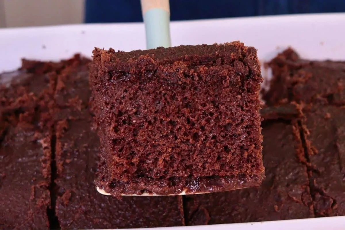 Bolo de chocolate simples e fofinho com cobertura de casquin