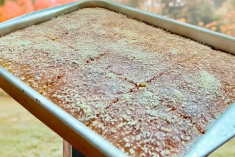 Bolo encanto de coco bem molhadinho: a melhor opção para o s