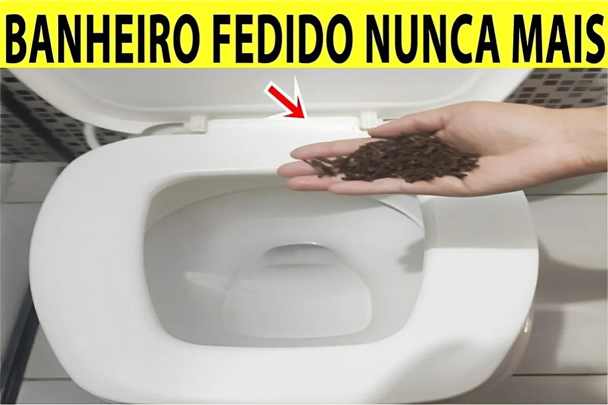 Cheiro de urina no banheiro nunca mais depois que fiz esse t