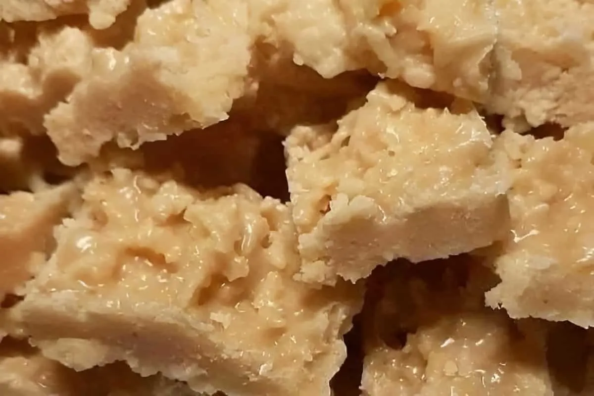 Cocada de leite condensado rápida e fácil de fazer é só colo