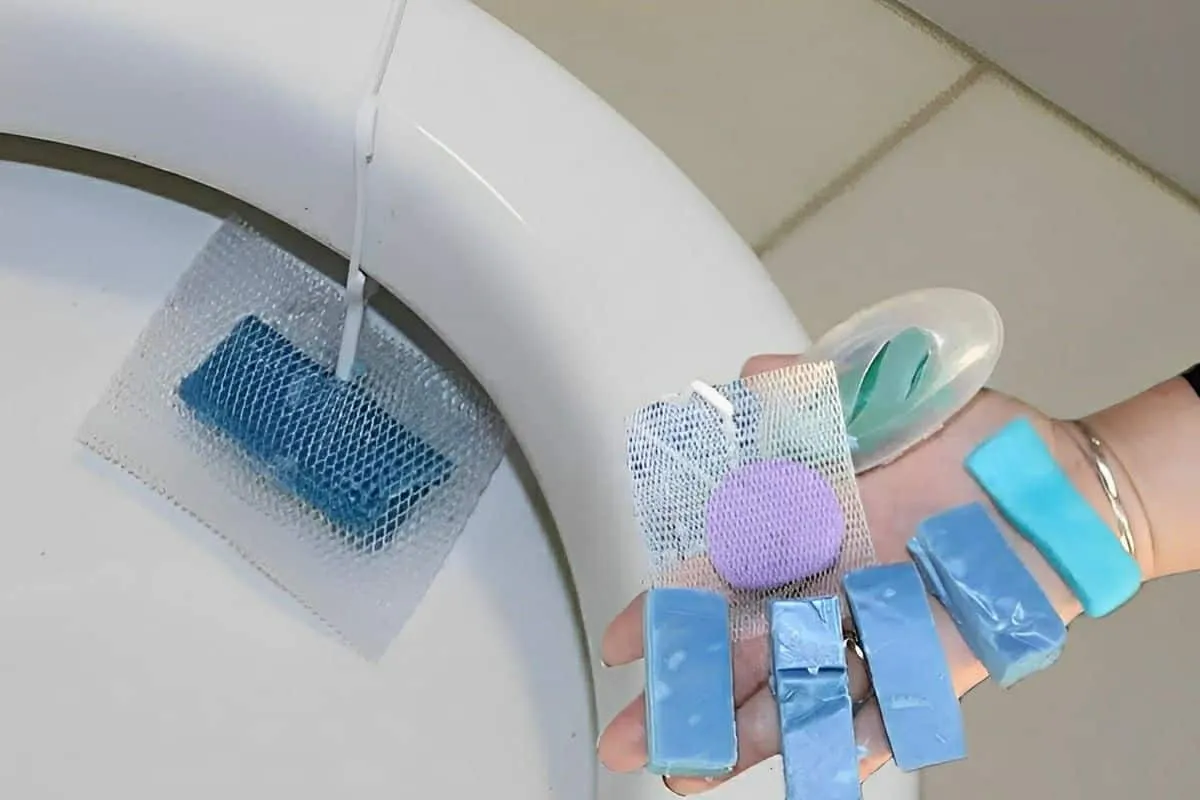 Com apenas 5 reais fiz 40 pedras sanitárias que deixaram meu