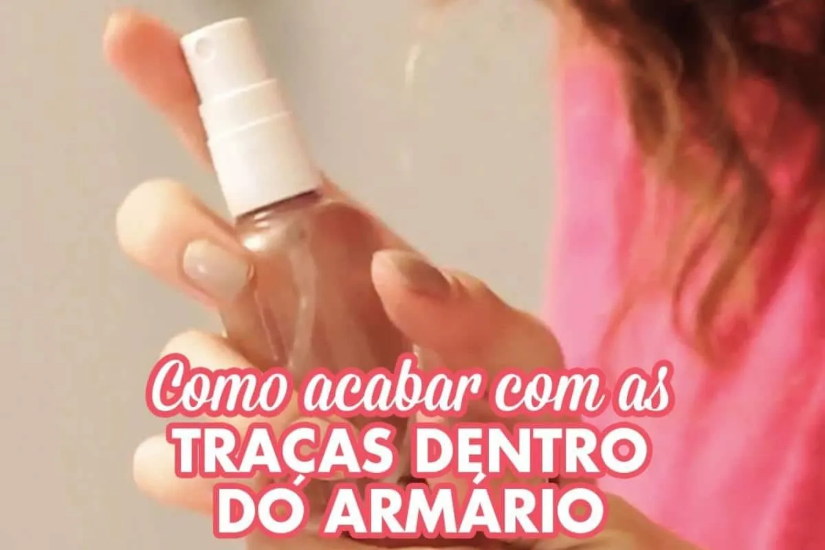 Como acabar com as traças do seu guarda roupa de uma vez por