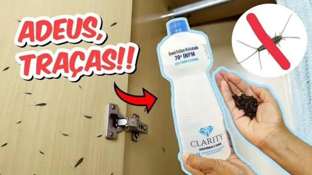 Como acabar com as traças do seu guarda-roupas de uma vez po