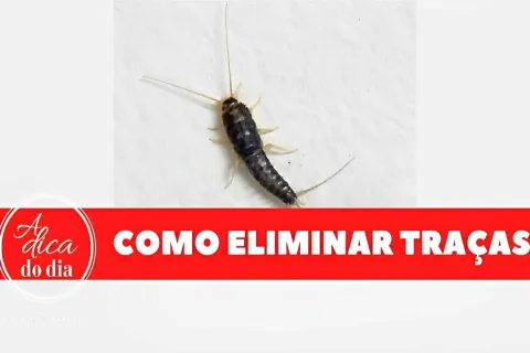 Como acabar com as traças dos armários usando vinagre