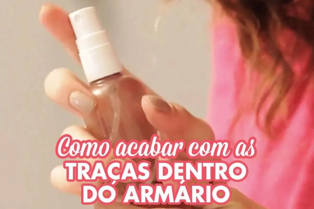 Como acabar com as traças na sua casa e não ter mais problem