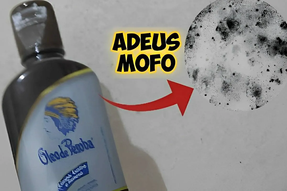 Como acabar com o mofo das paredes com essa misturinha casei