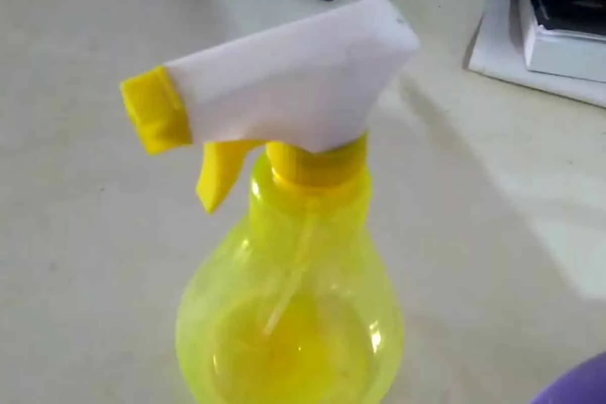 Como acabar com pulgas e carrapatos do seu pet sem precisar