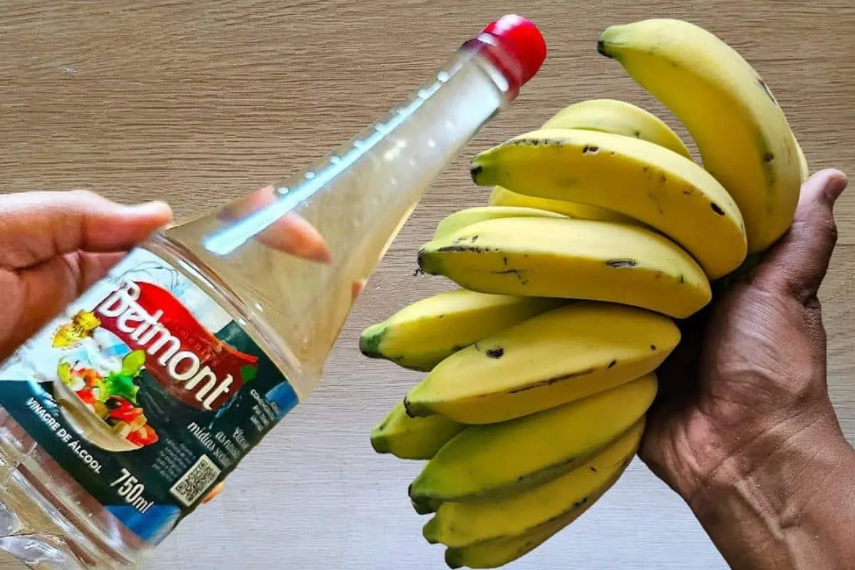 Como conservar banana madura: não escurece tão fácil e dura