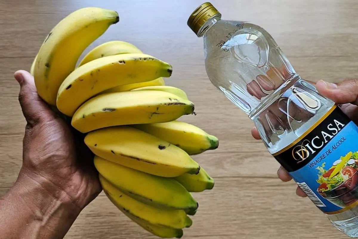 Como conservar banana na geladeira: dura mais tempo sem escu