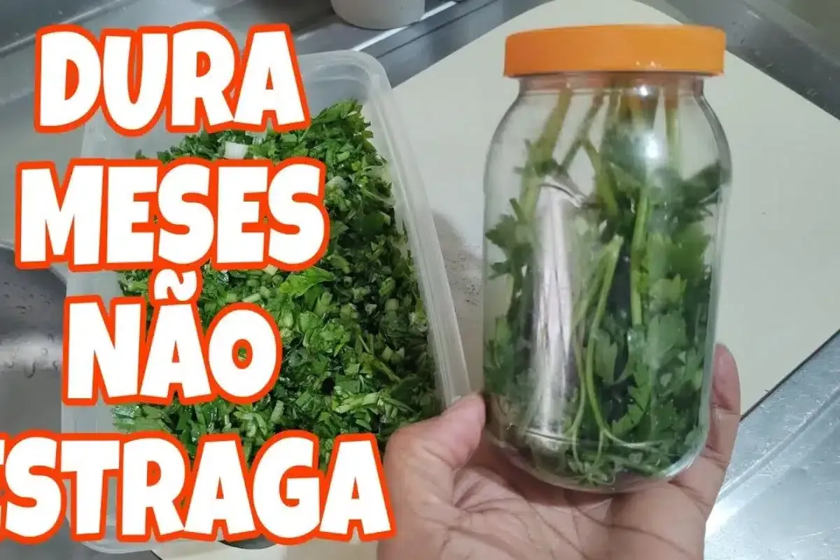 Como conservar cheiro verde na geladeira sem murchar ou ress