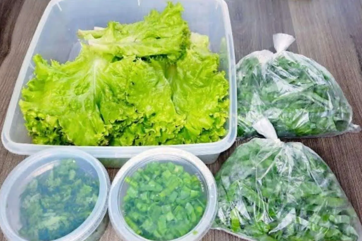Como conservar folhas na geladeira: vai ter verdura fresquin