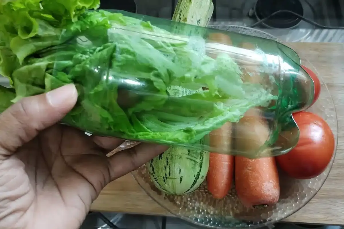 Como conservar hortaliças na geladeira: assim você come sala