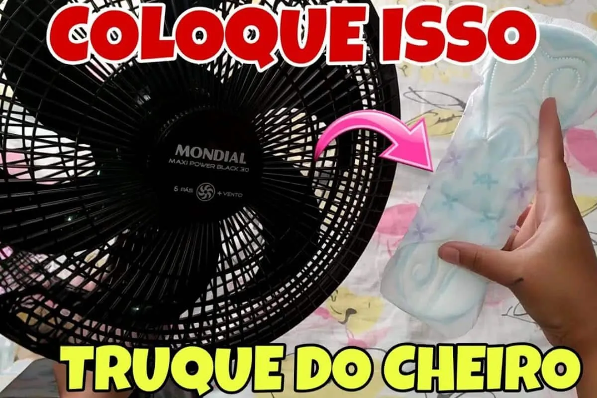 Como deixar a casa cheirosa de um jeito que vai te surpreend