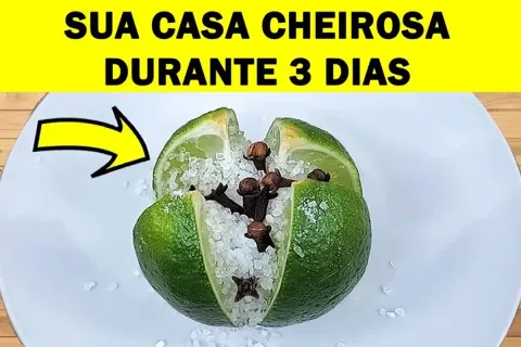 Como deixar a casa cheirosa o dia todo: parei de gastar com 