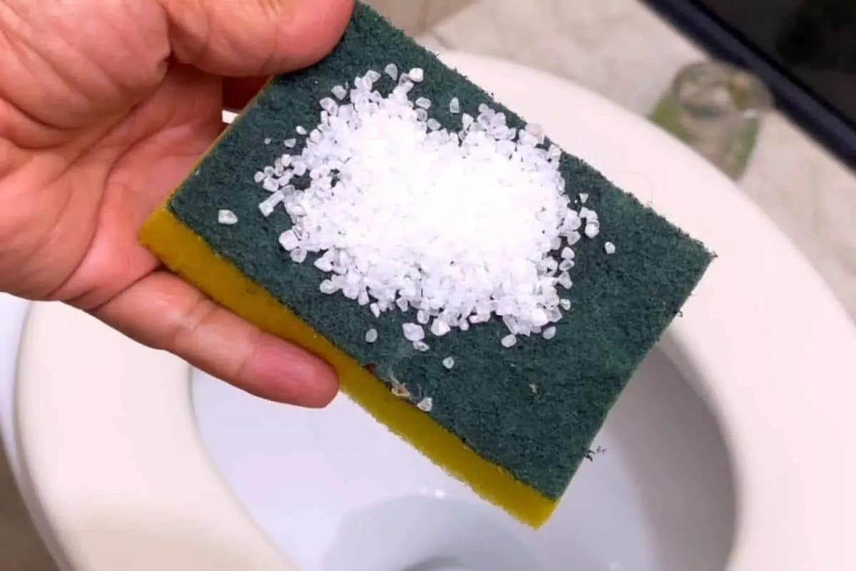 Como deixar banheiro cheiroso: não precisa comprar produto d