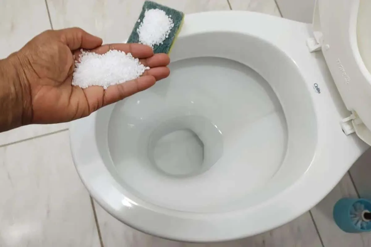 Como deixar banheiro cheiroso: saiba os benefícios de coloca