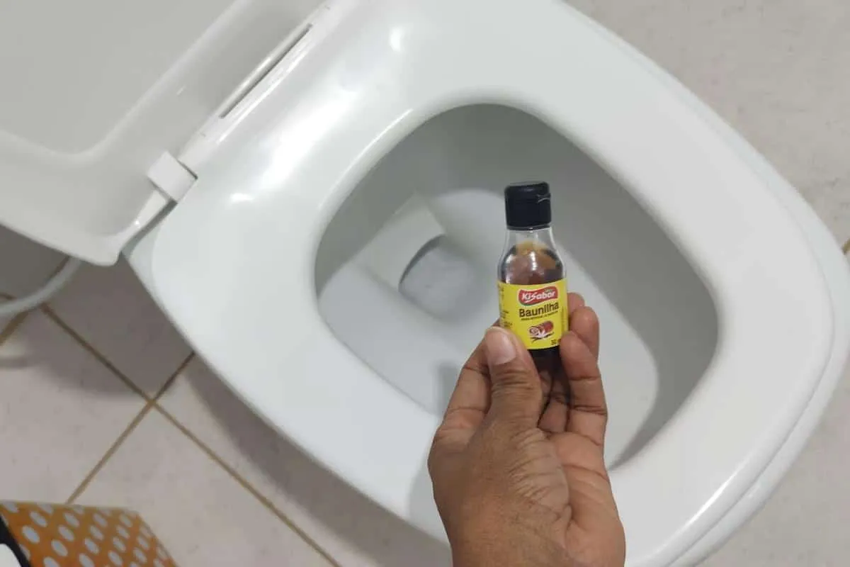 Como deixar banheiro perfumado: não precisa comprar produto