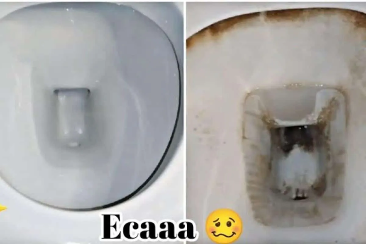 Como desencardir vaso sanitário de um jeito fácil que você n