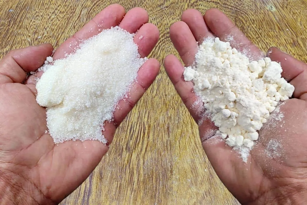 Como eliminar insetos da sua cozinha e toda sua casa sem pre