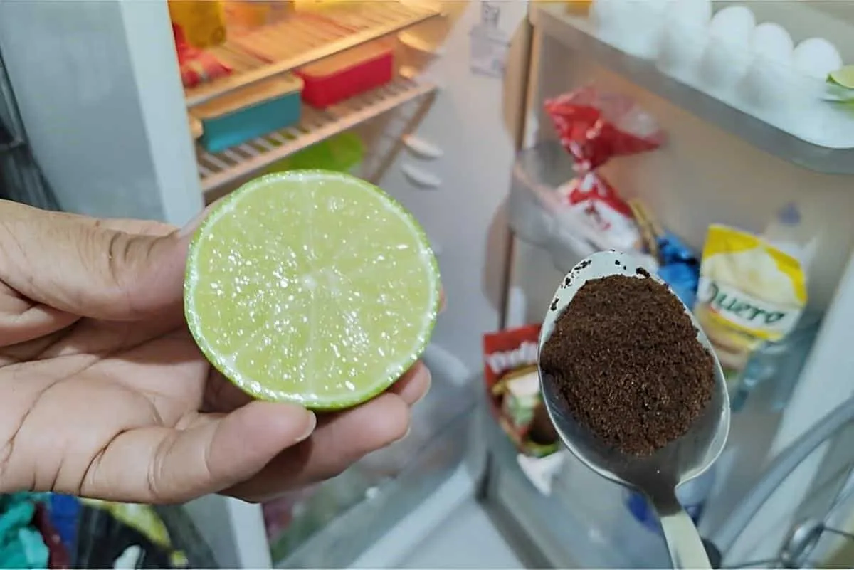 Como eliminar mau cheiro da geladeira usando apenas 2 ingred