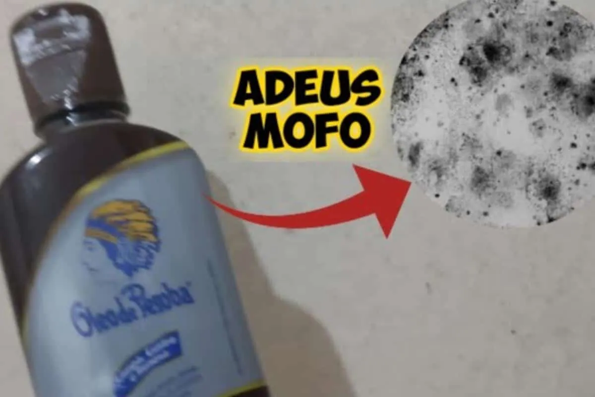 Como eliminar o mofo das paredes com uma misturinha caseira