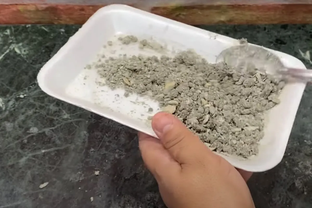 Como eliminar ratos da sua casa sem comprar veneno e espelha