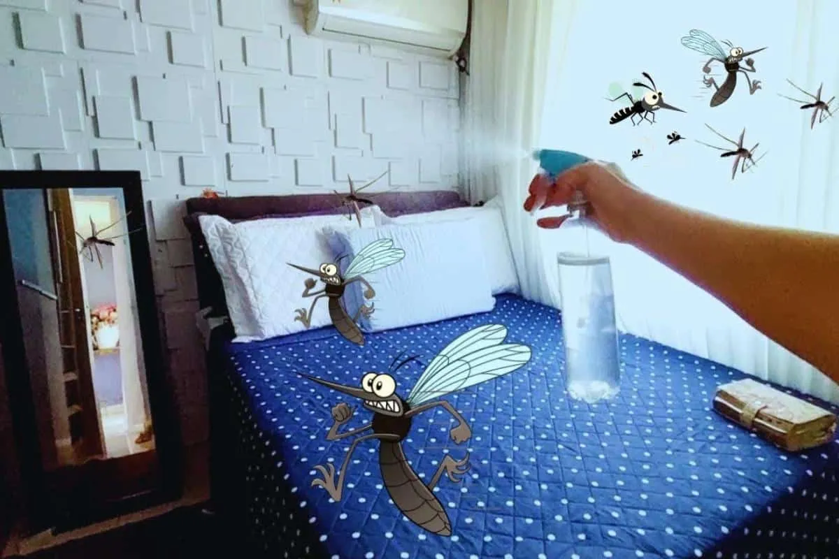 Como espantar pernilongos da sua casa: é só burrifar e não f