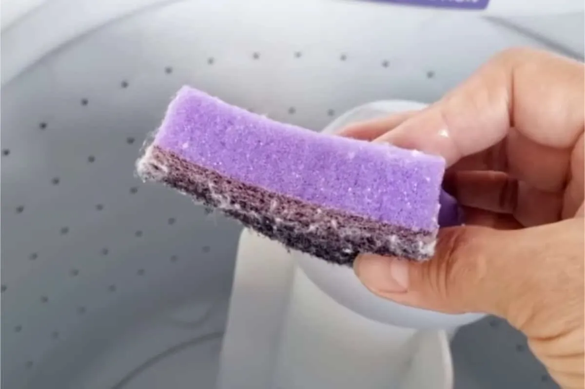 Como evitar pelos na roupas com uma técnica incrível que voc