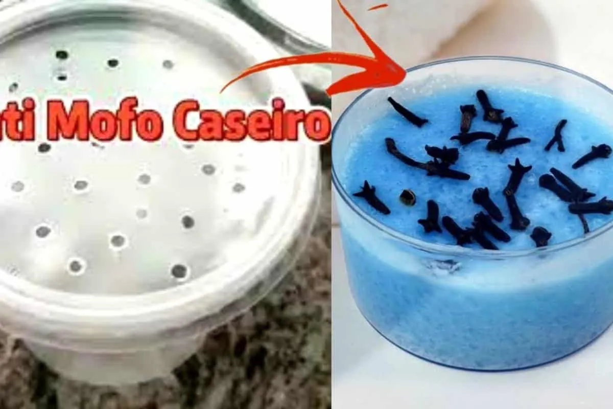 Como fazer antimofo caseiro muito eficiente para deixar no g