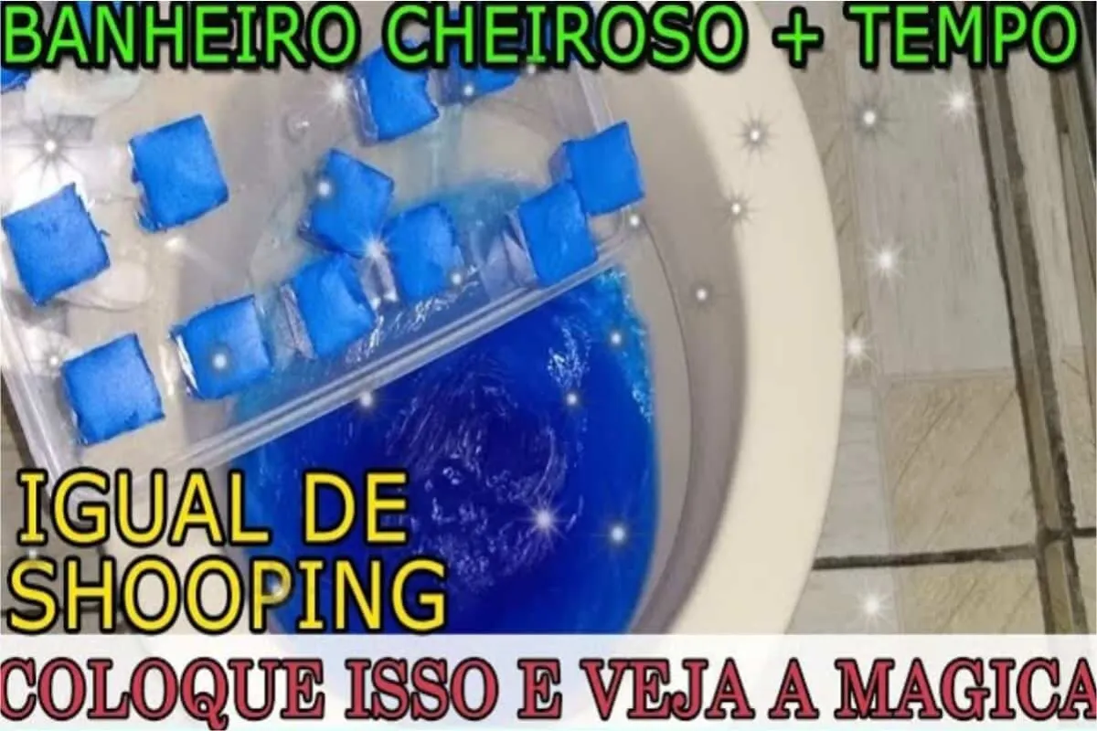 Como fazer bloco sanitário caseiro que deixa o banheiro chei