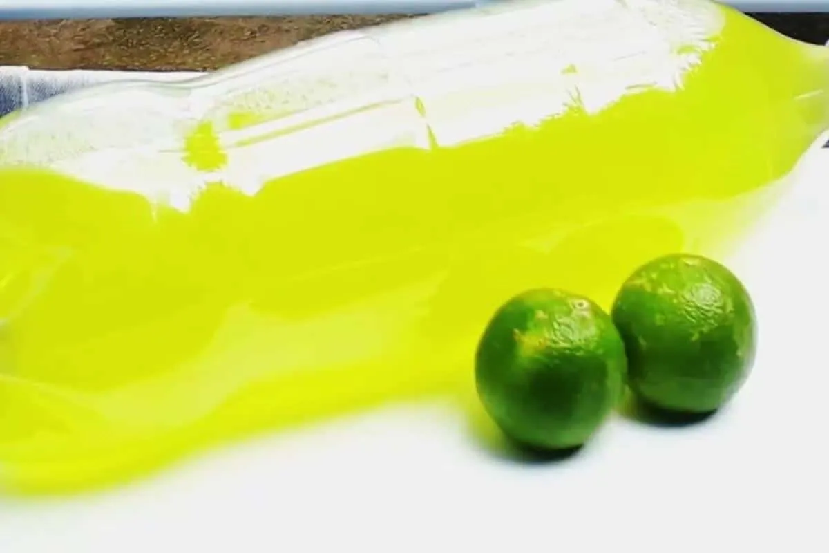 Como fazer desinfetante de limão caseiro: uma solução ecológ