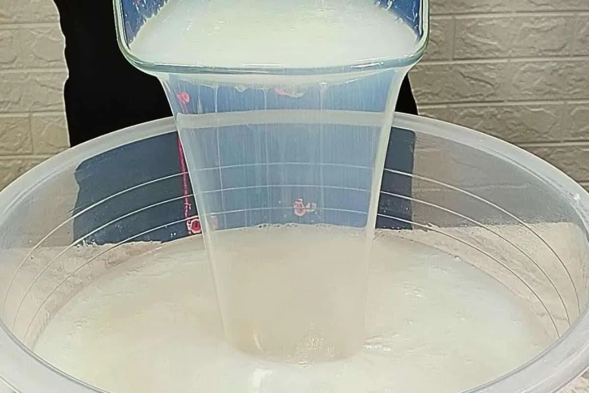 Como fazer detergente de coco caseiro: muito concentrado e r