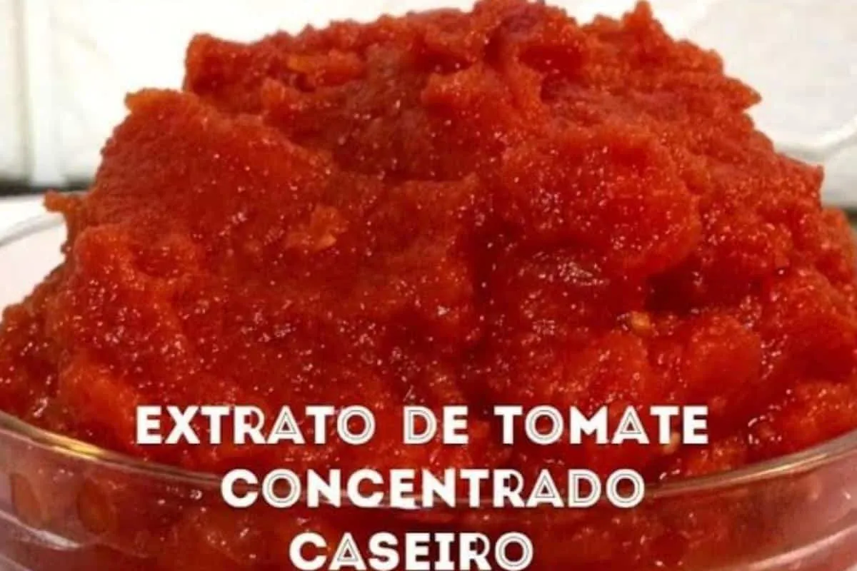 Como fazer extrato de tomate caseiro: mais gostoso e mais ba