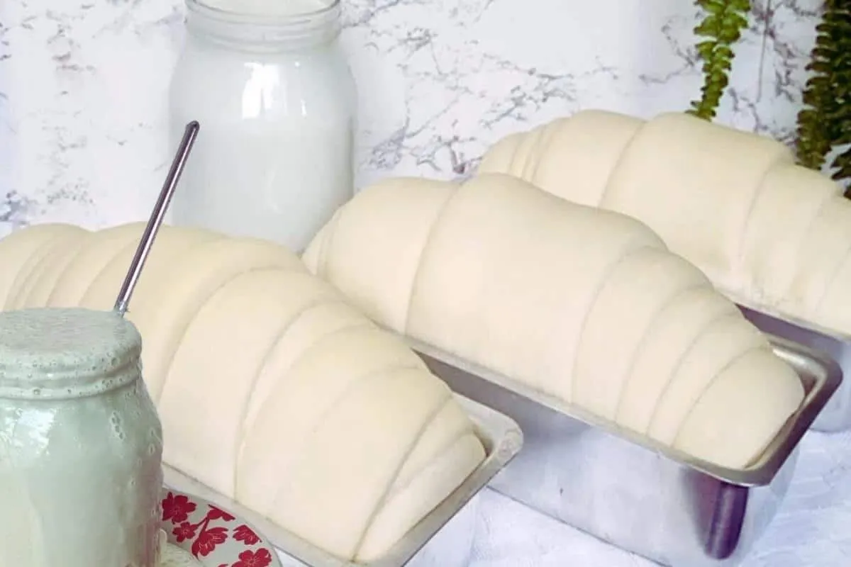 Como fazer fermento caseiro: com essa dica seu pão caseiro c
