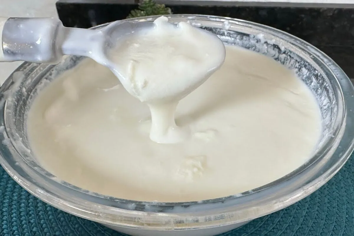 Como fazer iogurte natural: receita perfeita para ter um iog